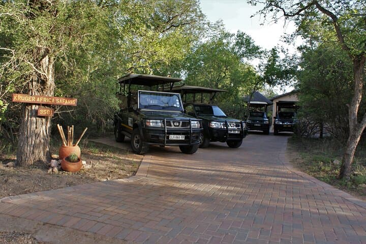 Full-Day Kruger Game Drives from Marloth Park — Big Five Safari & Birding photo 2