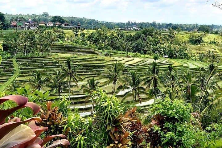 Tanah Lot & Jatiluwih Rice Terraces: Private Day Tour from Ubud