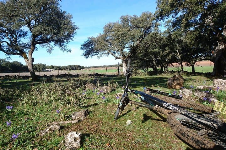 Bandits Trail MTB: 45km Self-Guided Loop from Ronda photo 6