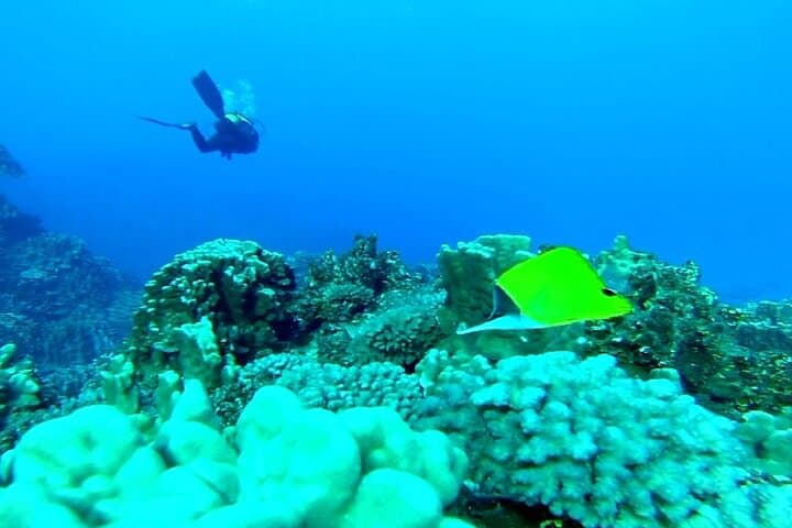First Dive on Easter Island: Baptism Scuba at Rapa Nui Reefs photo 3