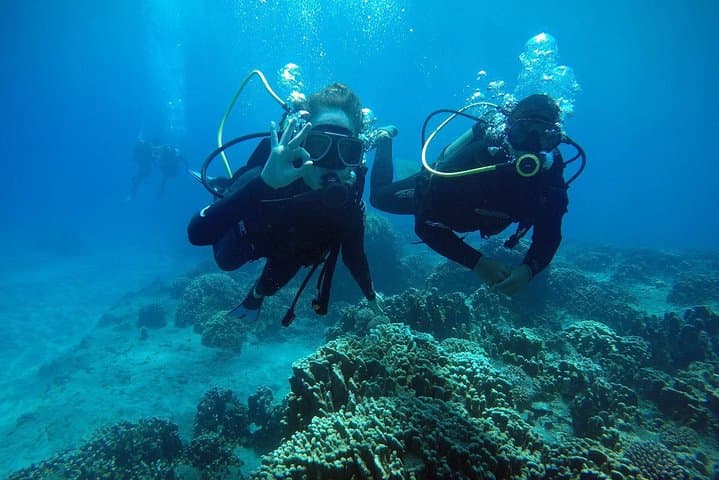First Dive on Easter Island: Baptism Scuba at Rapa Nui Reefs