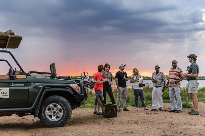 Private Big Five Safari in Dinokeng: Open-Vehicle Game Drives Near Johannesburg