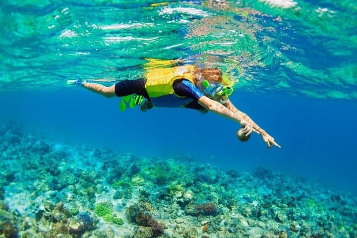 Nusa Lembongan Snorkeling & Mangrove Forest Day Tour from Sanur photo 3