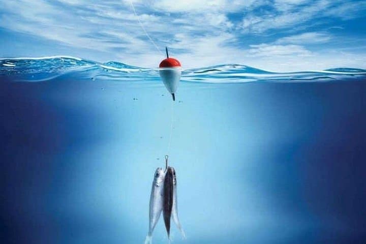 Private Red Sea Fishing Trip from Hurghada — Half‑Day Boat & Snorkel photo 4