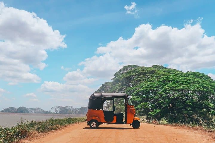 Sigiriya Tuk Tuk Safari: Explore Village Life and Climb the Ancient Rock photo 2