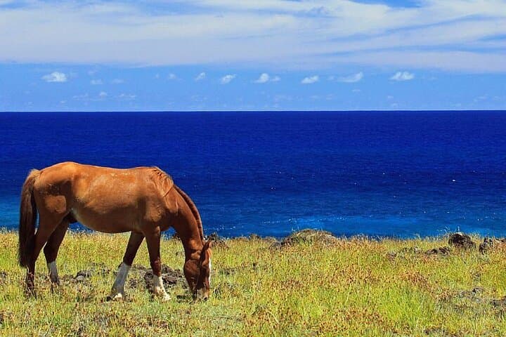Horseback Riding and Lava Tube Caves on Easter Island (Rapa Nui) photo 3
