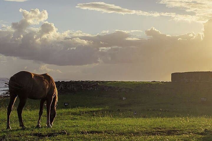 Horseback Riding and Lava Tube Caves on Easter Island (Rapa Nui) photo 4