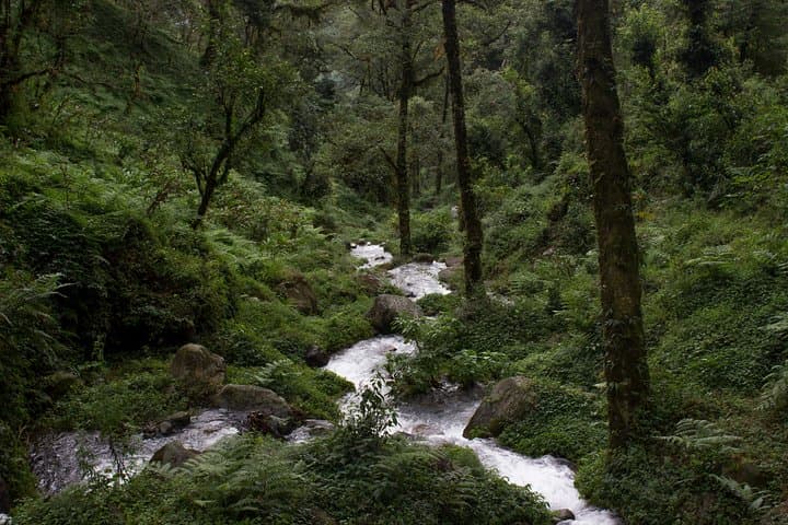 Yuksom Day Trip from Pelling: Khecheopalri Lake, Monasteries & Waterfalls photo 6