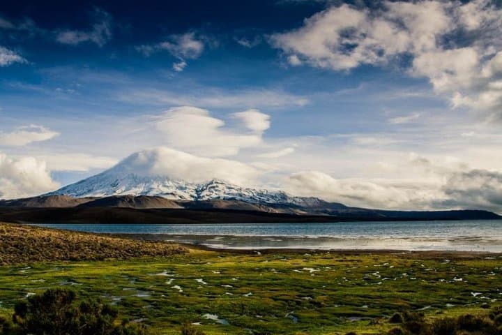 Lauca National Park & Lake Chungará Day Trip from Arica — High‑Altitude Wildlife and Andean Vistas photo 2