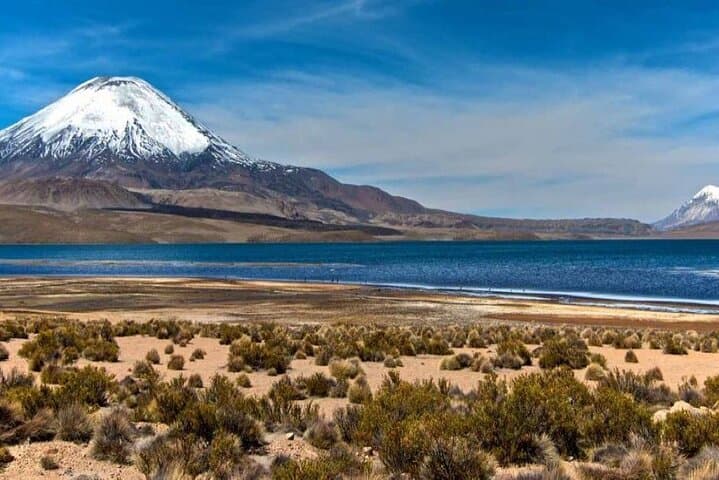 Lauca National Park & Lake Chungará Day Trip from Arica — High‑Altitude Wildlife and Andean Vistas photo 3