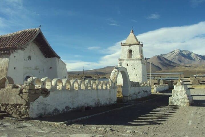 Lauca National Park & Lake Chungará Day Trip from Arica — High‑Altitude Wildlife and Andean Vistas photo 6