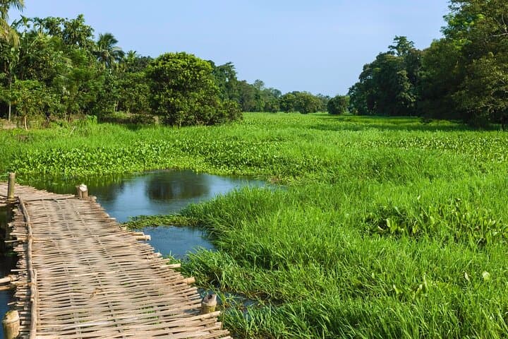 Majuli Day Trip: Guided Private Tour from Guwahati to India's River Island photo 3