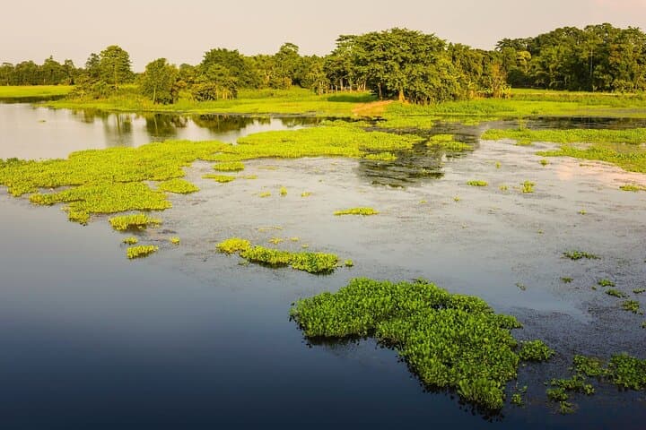 Majuli Day Trip: Guided Private Tour from Guwahati to India's River Island
