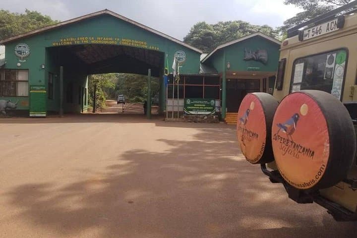 6-Day Lake Manyara, Serengeti & Ngorongoro Safari: Crater Walls, Tree-Climbing Lions and Tarangire Elephants photo 3