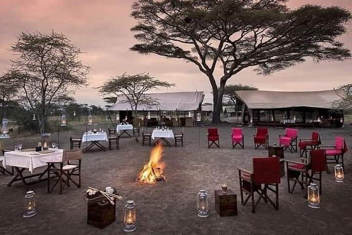 5-Day Tanzania Safari: Lake Manyara, Serengeti & Ngorongoro Crater photo 4