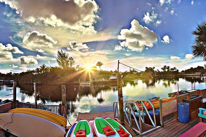Fort Lauderdale Kayak Rental: Mangrove Eco Paddle & Self-Guided Waterway Tour photo 4