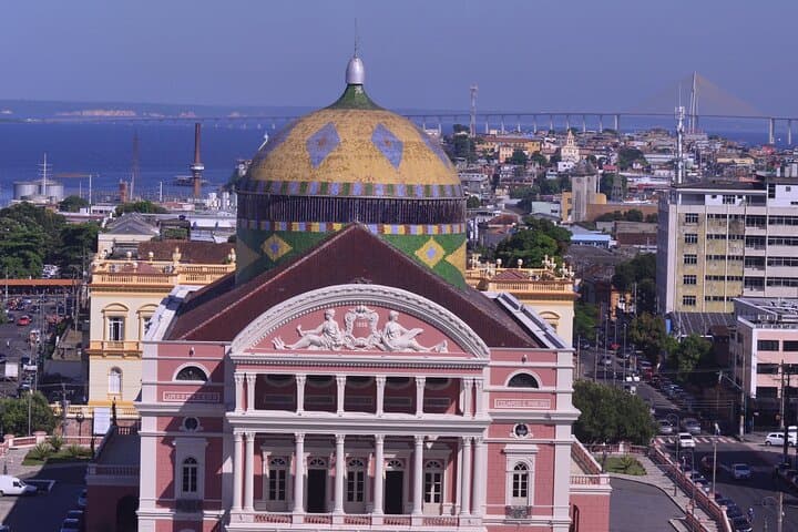 9-Day Rio de Janeiro and Manaus Classic: City Sights and Amazon Introduction