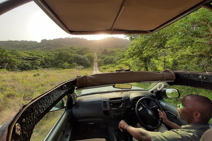 Kruger to Coast: 6-Day Big 5 Safari and iSimangaliso Wetlands Essentials photo 1