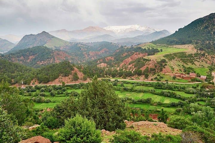 Ourika Valley Day Trip from Marrakech: Waterfalls, Berber Villages & Sunset Camel Ride photo 1