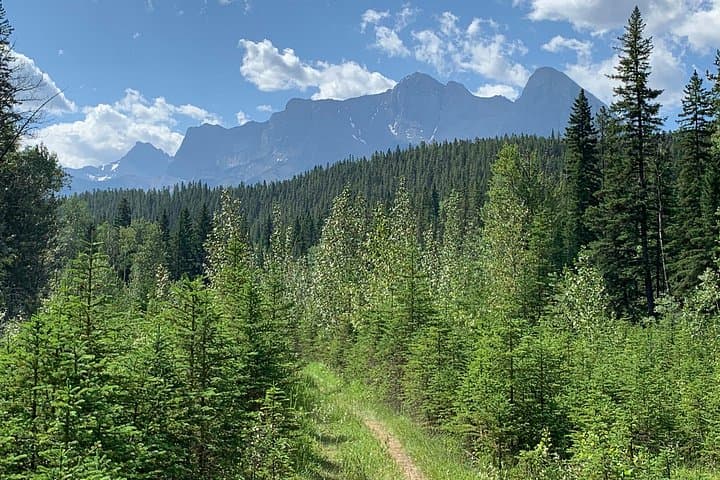 Canmore Rocky Mountains Private Photo Safari — 4-Hour Majestic Mountain Drive photo 4