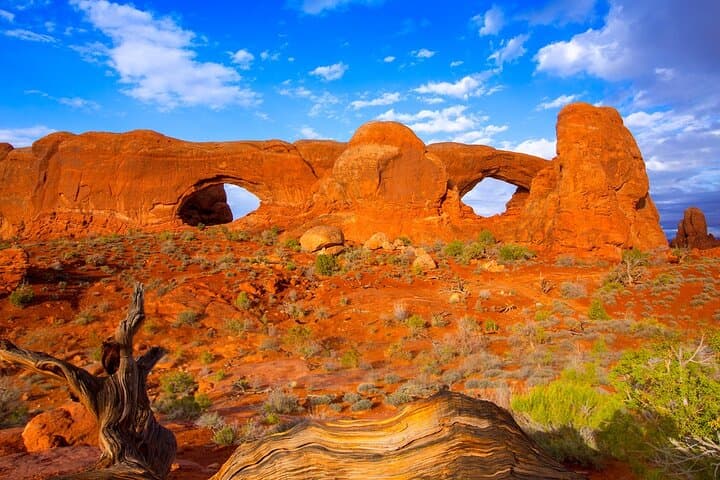 Discover Moab in a Day: Arches, Canyonlands & Dead Horse Point Tour photo 2