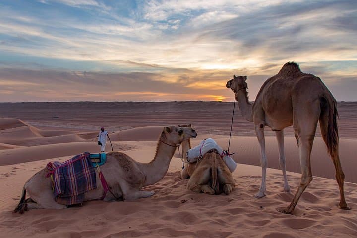 Wahiba Sands Bediyah Desert Camp: Overnight Under the Arabian Stars photo 2