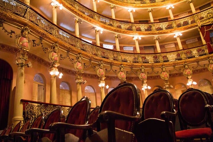 9-Day Rio de Janeiro and Manaus Classic: City Sights and Amazon Introduction photo 3
