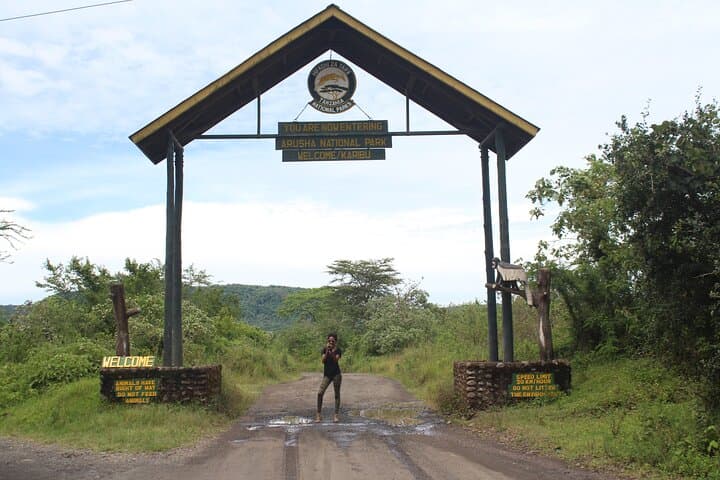 Day Safari in Arusha National Park — Momela Lakes, Ngurdoto Crater & Mount Meru Views