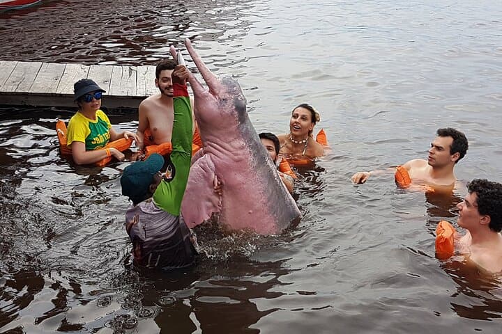 4-Day Manaus Classic: Amazon River, Pink Dolphins & City Highlights photo 3