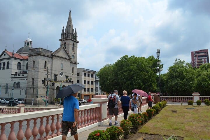 4-Day Manaus Classic: Amazon River, Pink Dolphins & City Highlights photo 6