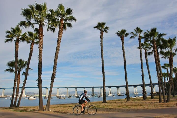 Private Shuttled Coastal Gems Tour — San Diego Beaches, Cliffs & Wildlife photo 3