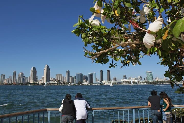 Private Shuttled Coastal Gems Tour — San Diego Beaches, Cliffs & Wildlife photo 6