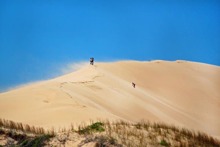Cabo Polonio Day Trip from Punta del Este: 4x4 Dunes, Sea Lions & Remote Beaches