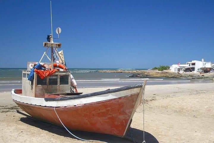 Cabo Polonio Day Trip from Punta del Este: 4x4 Dunes, Sea Lions & Remote Beaches photo 3