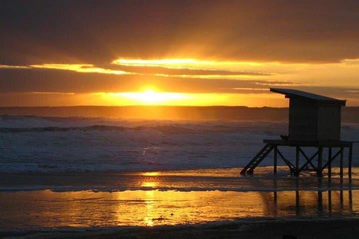 Cabo Polonio Day Trip from Punta del Este: 4x4 Dunes, Sea Lions & Remote Beaches photo 5