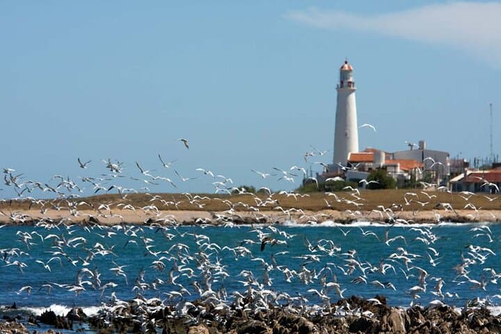 Coastal Drive to José Ignacio: Half-Day Tour from Punta del Este photo 6