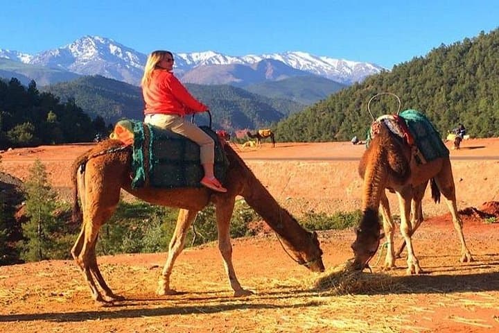 Atlas Mountains Day Trip from Marrakech: Berber Villages, Waterfalls & Camel Ride photo 2