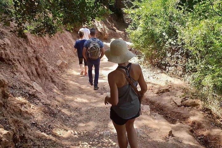 Atlas Mountains Day Trip from Marrakech: Berber Villages, Waterfalls & Camel Ride photo 4
