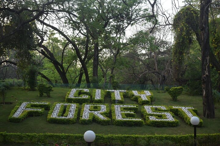 Garden Trails of Chandigarh: Full-Day Guided Tour of Rose Garden, Rock Garden & Sukhna Lake photo 6