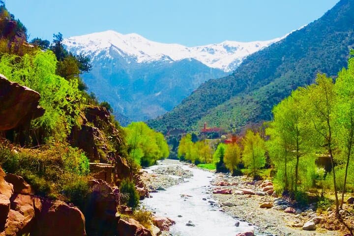 Ourika Valley Waterfalls & Berber Villages Day Trip from Marrakech photo 5