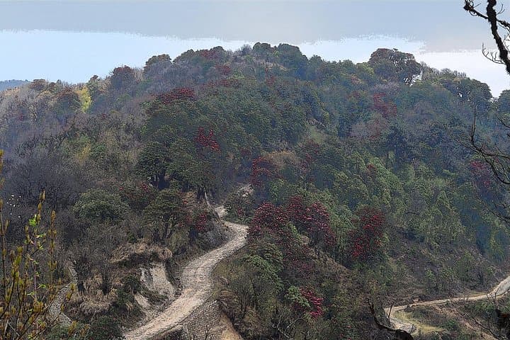 Bangalore Day Trips: Savandurga, Skandagiri, Bheemeshwari & Ramanagara Nature Trails photo 2