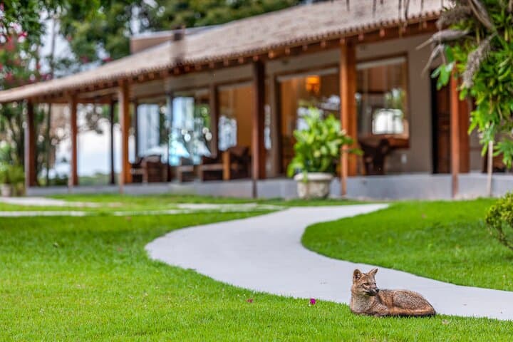 Pantanal Norte Classic: 2–4 Night Wildlife Lodge Experience in Brazil photo 2