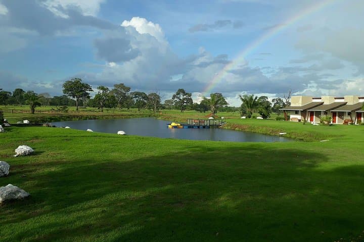 Pantanal Norte Classic: 2–4 Night Wildlife Lodge Experience in Brazil photo 3