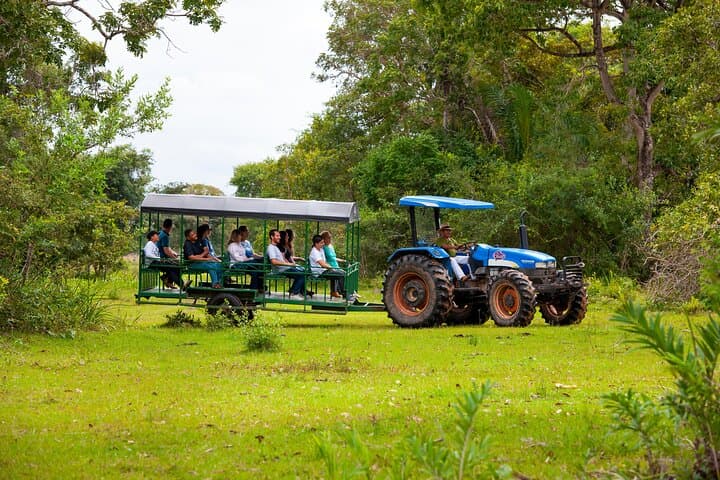 Pantanal Norte Classic: 2–4 Night Wildlife Lodge Experience in Brazil photo 5