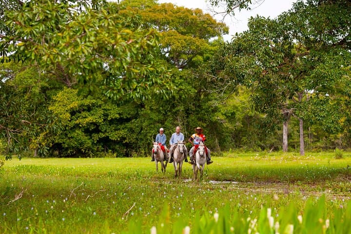 Pantanal Norte Classic: 2–4 Night Wildlife Lodge Experience in Brazil photo 6