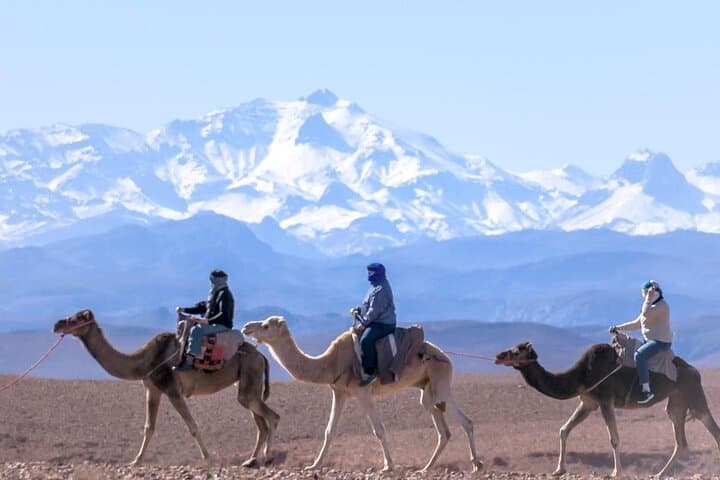 Atlas Mountains Day Trip & Camel Ride to Imlil and Aremd photo 2