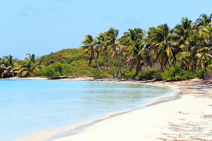 Explore Contoy Island: Snorkel the Great Mayan Reef and Visit Isla Mujeres