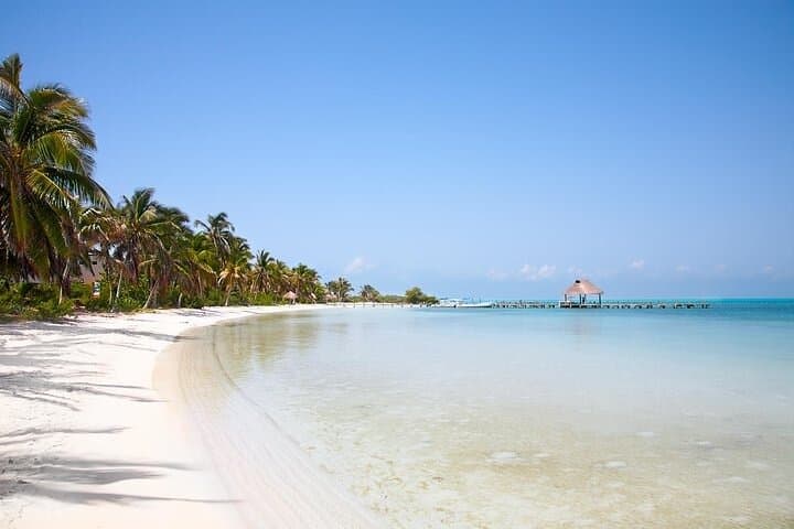 Explore Contoy Island: Snorkel the Great Mayan Reef and Visit Isla Mujeres photo 2