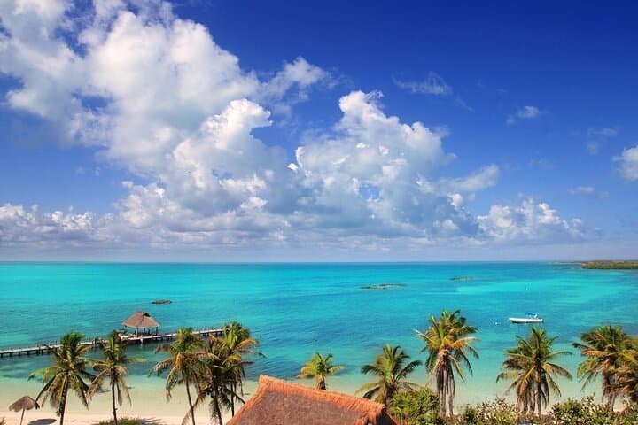 Explore Contoy Island: Snorkel the Great Mayan Reef and Visit Isla Mujeres photo 4