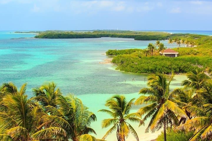 Explore Contoy Island: Snorkel the Great Mayan Reef and Visit Isla Mujeres photo 5